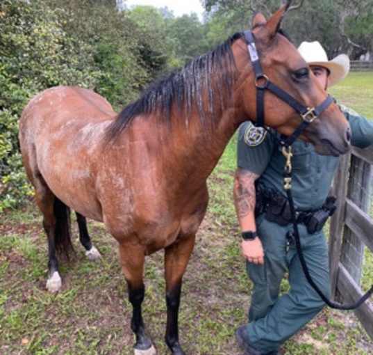 Photo of Stray/W Quince St