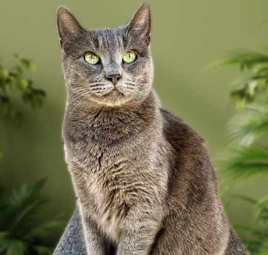 Photo of Skeeter