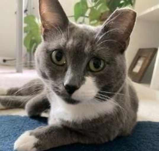Photo of Sissy