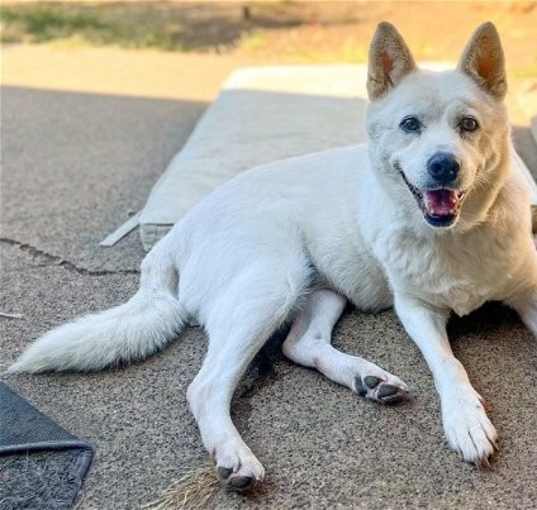 Photo of Jinsook - In Foster