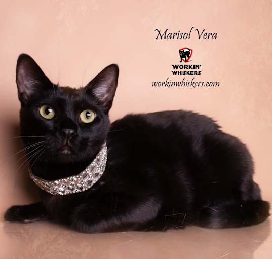 Photo of MARISOL VERA