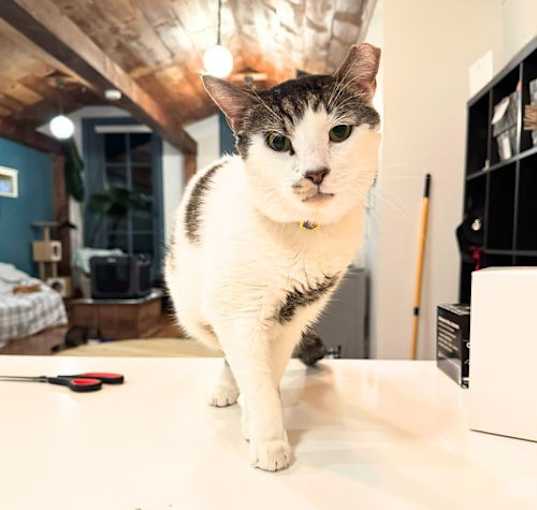Photo of A boy called Samson