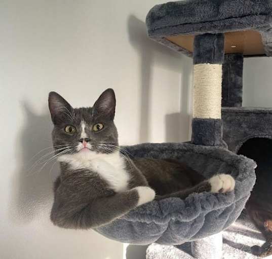 Photo of Athena