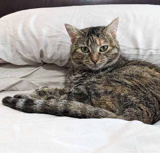 Photo of Dolly Purrton 