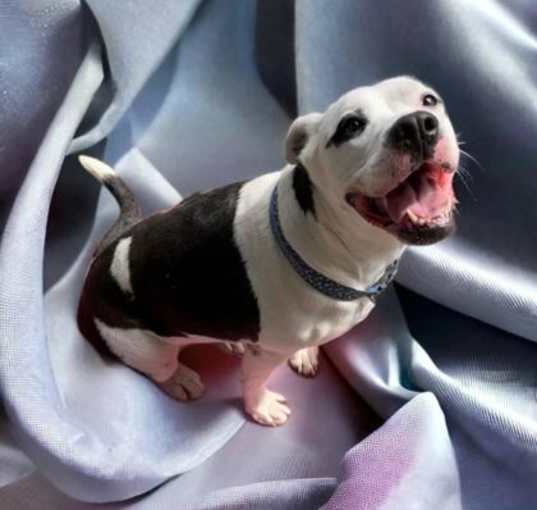 Photo of Chloe
