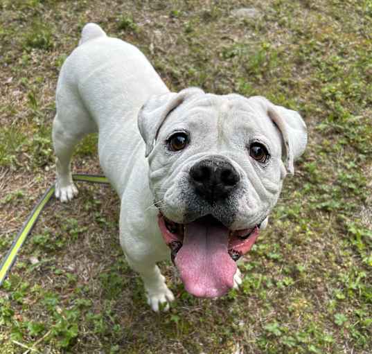 Photo of Bronx