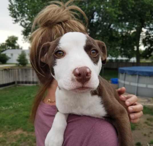 Photo of Anna Marie