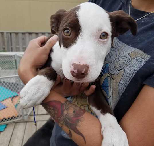 Photo of Timmy