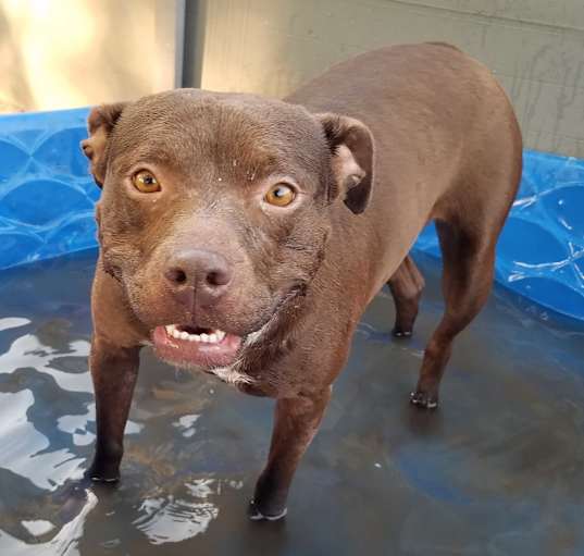 Photo of Tootsie
