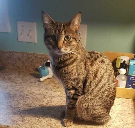 Photo of Pixie