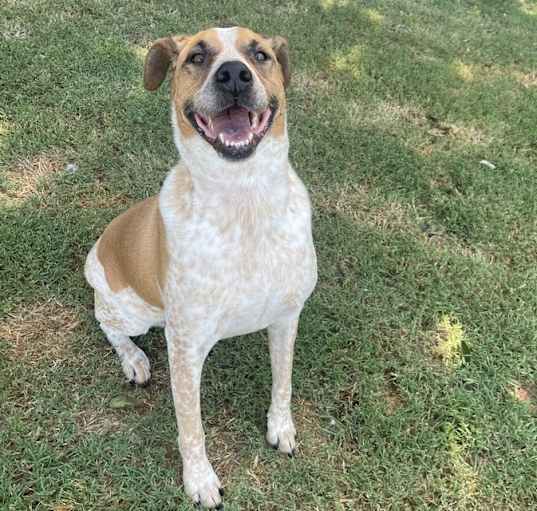 Photo of Riggs