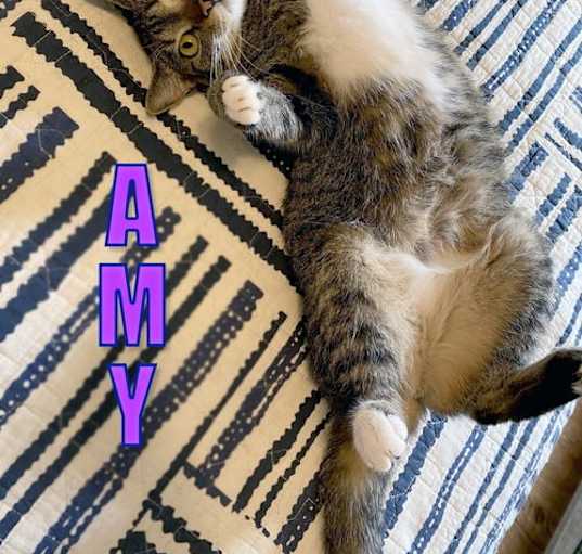 Photo of Amy