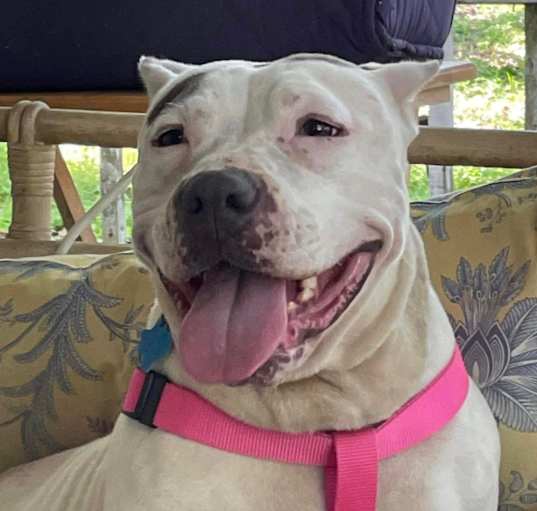 Photo of Hazel Jane
