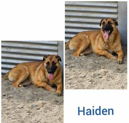 Photo of Haiden