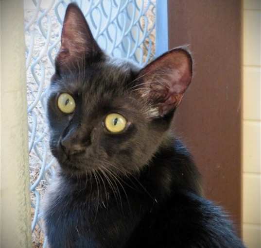Photo of Orbit