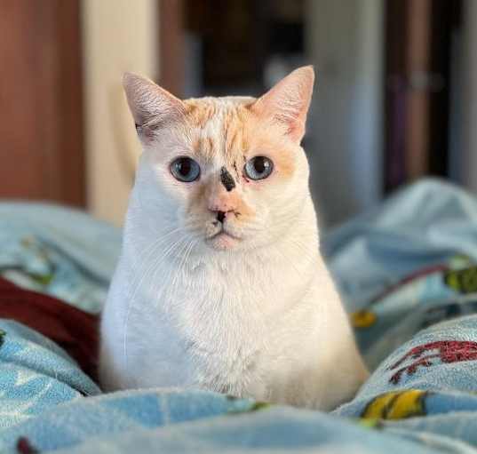 Photo of Maya