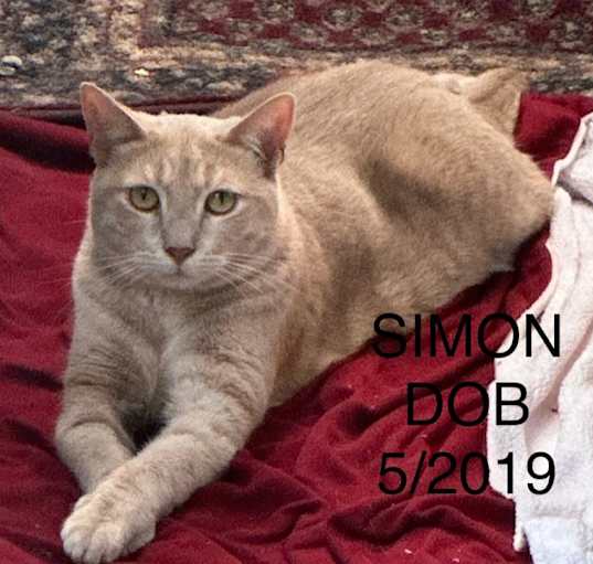 Photo of Simon