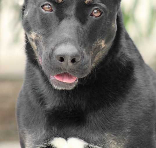 Photo of Skylar von Roxy
