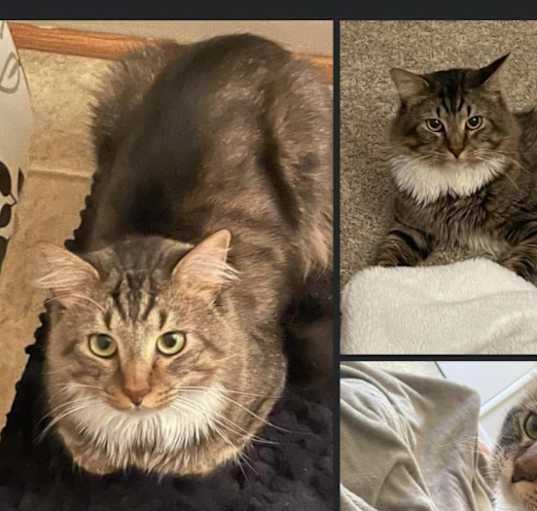 Photo of Rocket