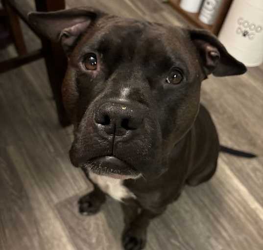 Photo of Wally
