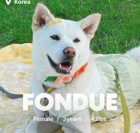 Photo of Fondue