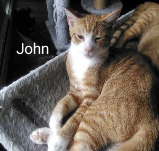 Photo of John
