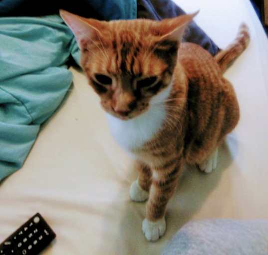 Photo of Samantha - love bug