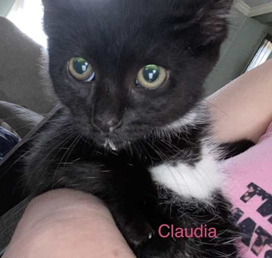 Photo of Claudia