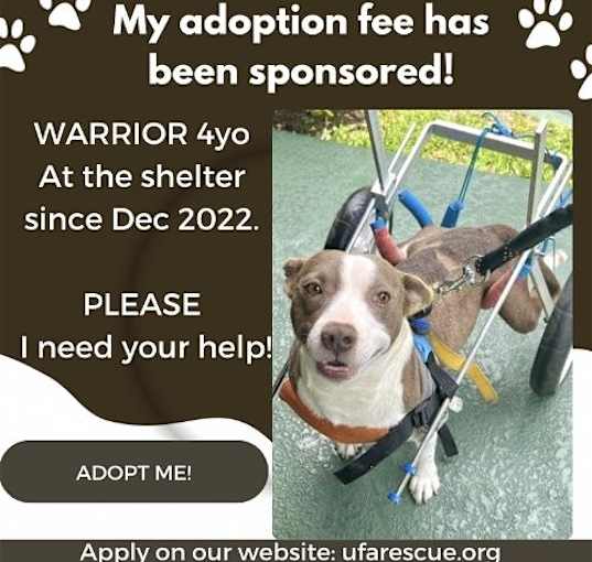 Photo of Warrior