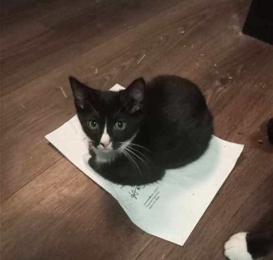 Photo of BABY (COURTESY POST)