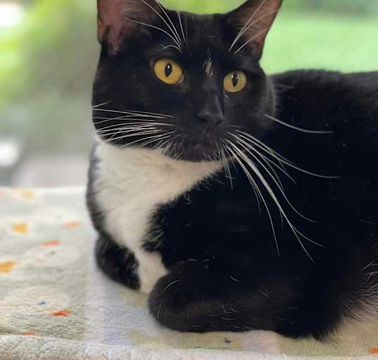 Photo of Mandy