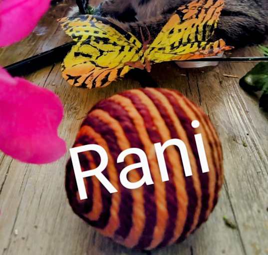 Photo of Rani