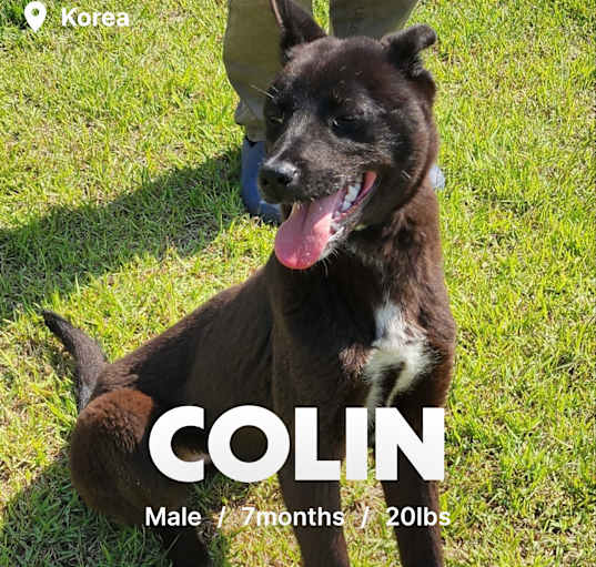 Photo of Colin
