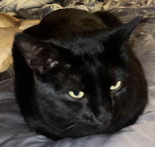 Photo of Freddy