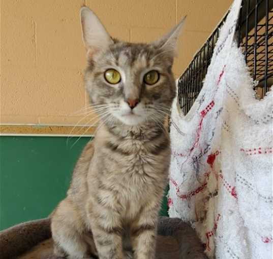 Photo of Hazel