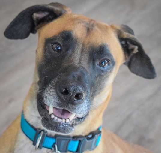 Photo of Ace