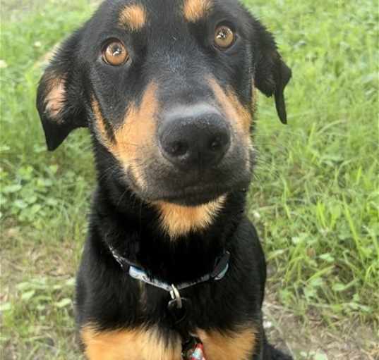 Photo of Roxy