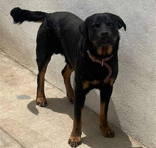 Photo of Zeus