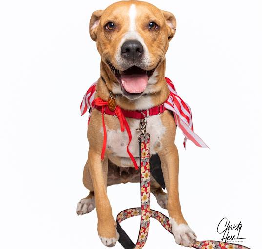 Photo of Kyson **Foster home**