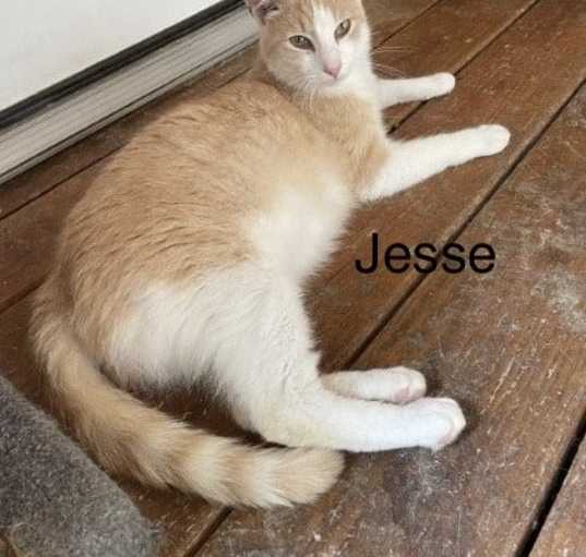 Photo of Jesse & (Jerry) FEE SPONSORED