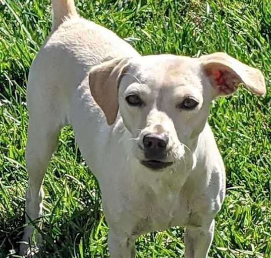 Photo of Diamond