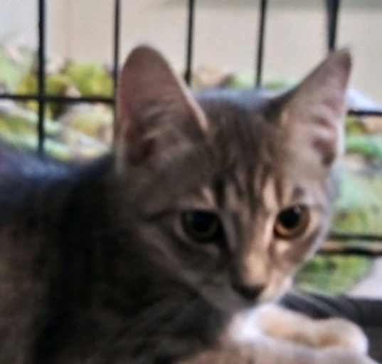 Photo of Finnegan