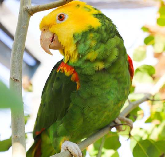 Photo of Juanita