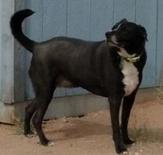 Photo of Max