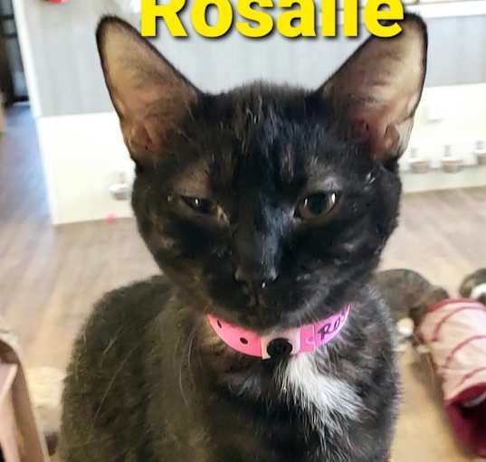 Photo of Rosalie