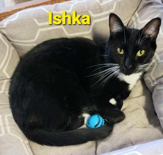 Photo of Ishka