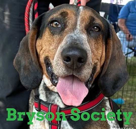 Photo of Bryson Society