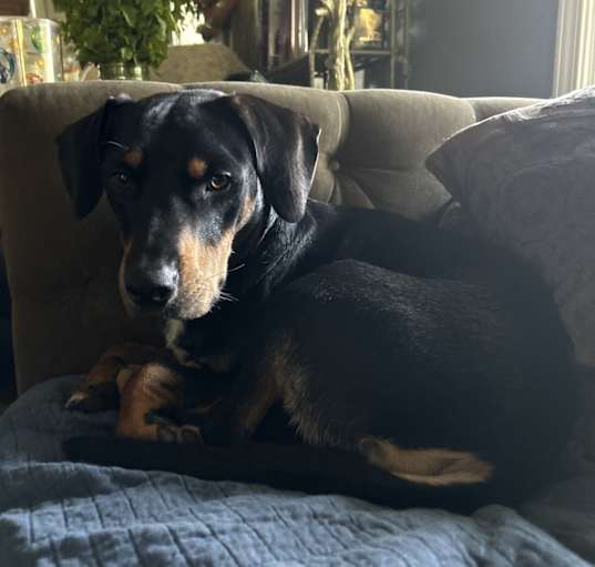 Photo of Walter