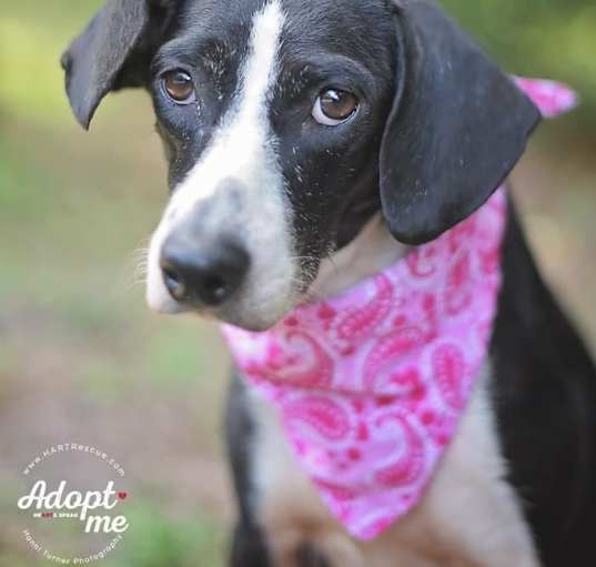 Photo of Jazz