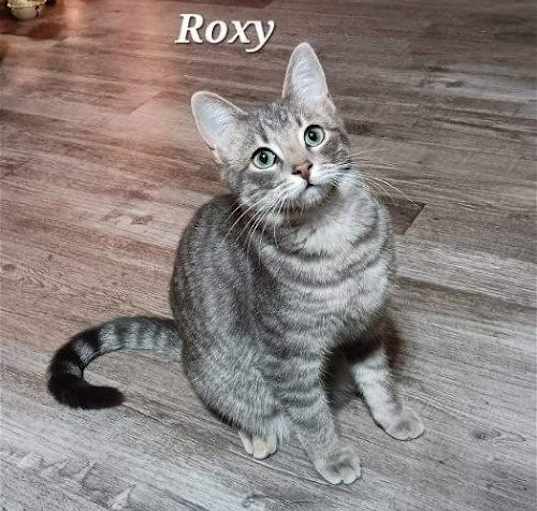 Photo of Roxy [CP]